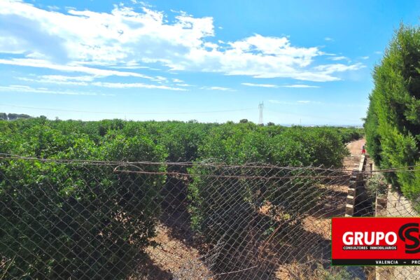 HUERTO DE NARANJOS EN PLENA PRODUCCIÓN EN NAQUERA - Ref. IG-370